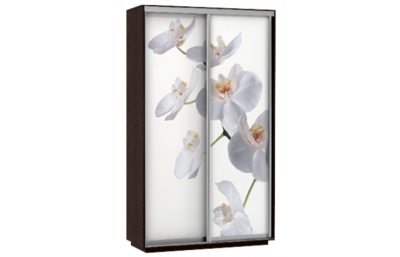 Шкаф купе  Орхидея
